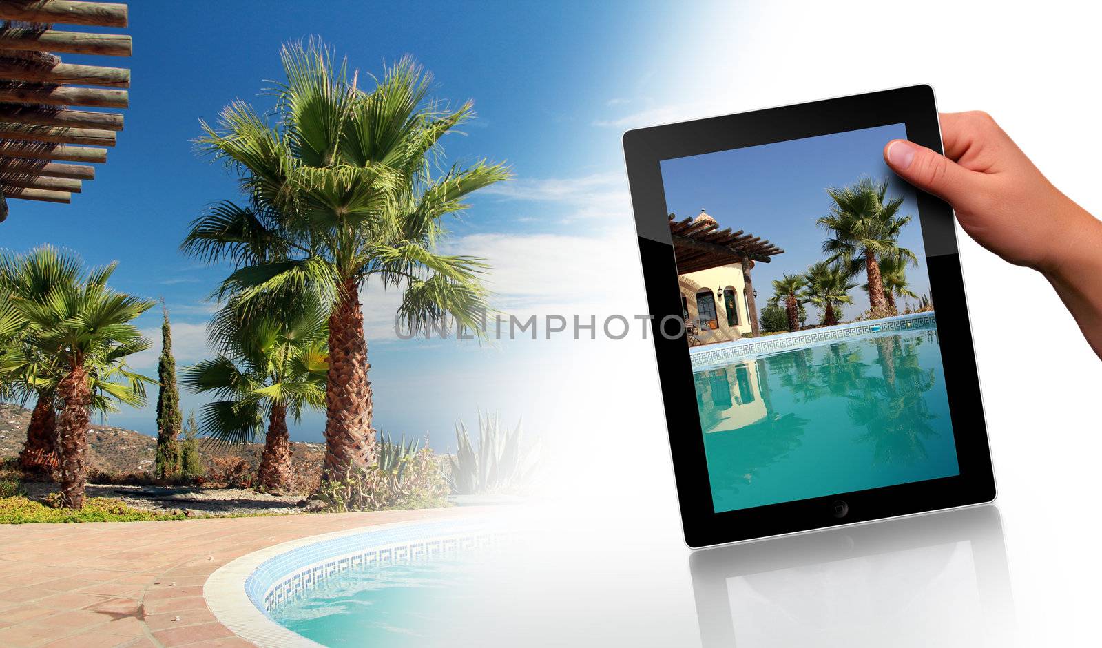 Swimming Pool, Palm and tablet pc by Hasenonkel