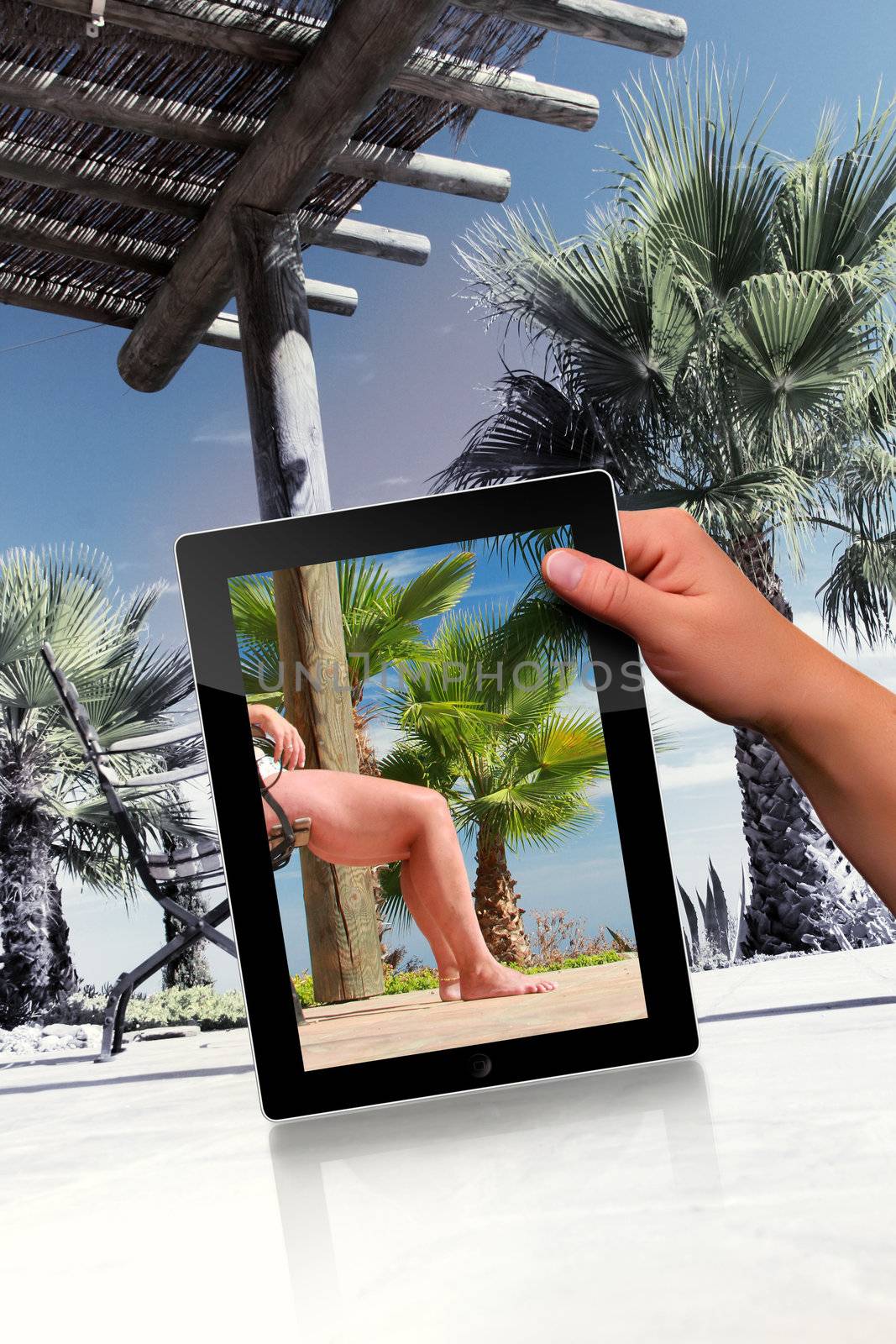 Faked relaxation scene with palm and tablet pc