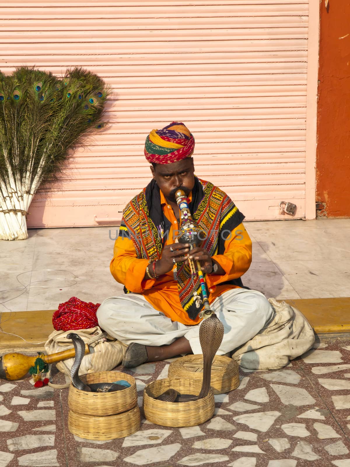 JAIPUR, INDIA - NOVEMBER 7 :Snake charmer shows his skill with the cobra to the tourists in front of the Hawa Mahal in Jaipur, Rajasthan, India on 7, Nov 2009.