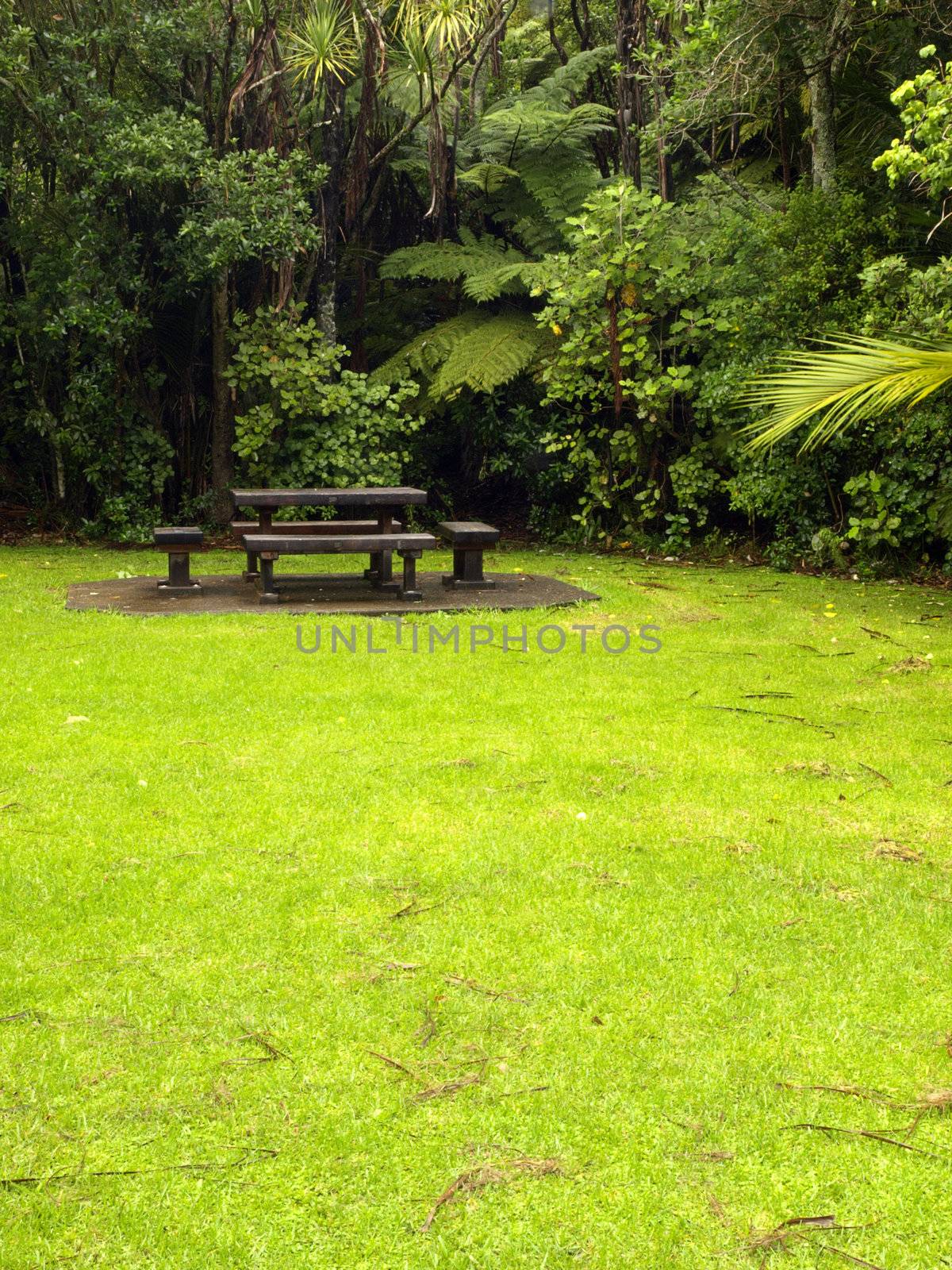Lawn garden and bench close to the forest in New Zealand