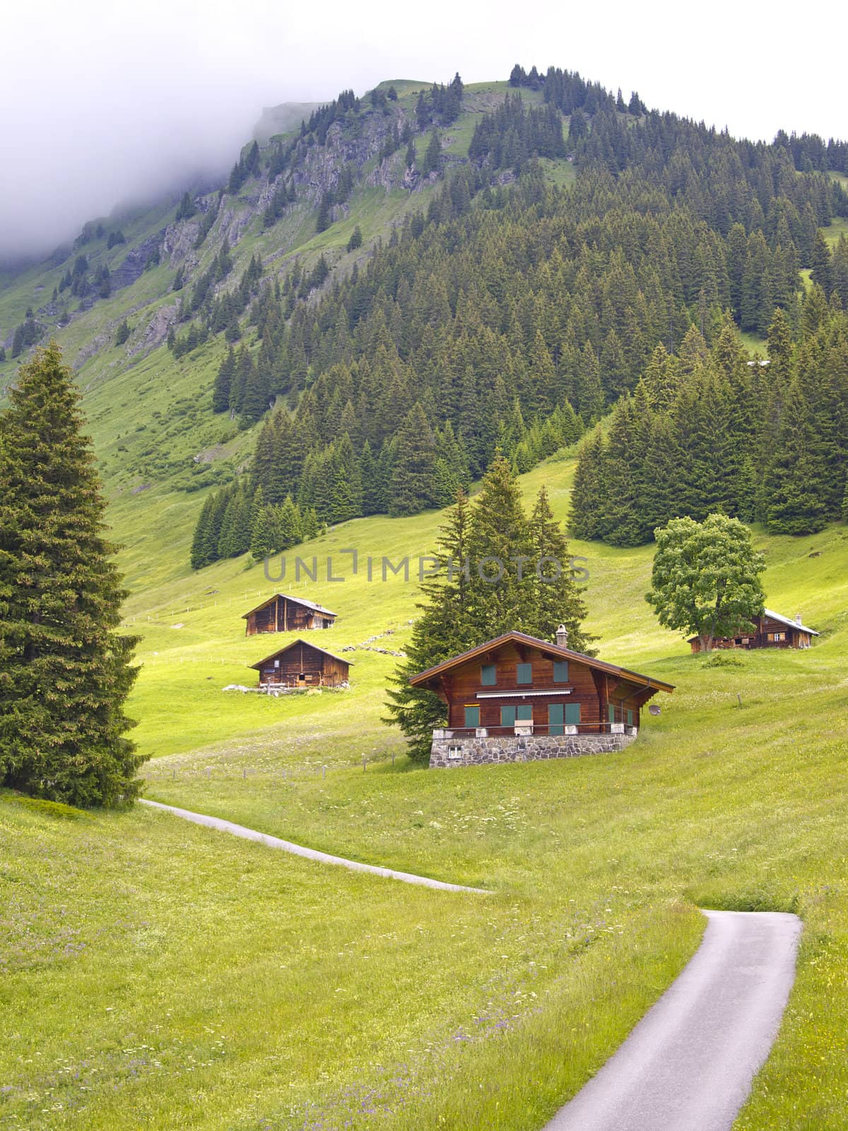 Group of Swiss styled huts in the valley of First, Grindelwald, Switzerland