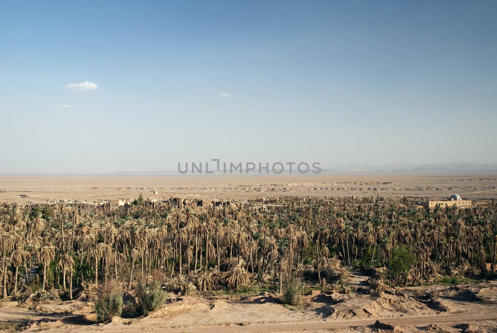 garmeh oasis landscape in iran desert by jackmalipan