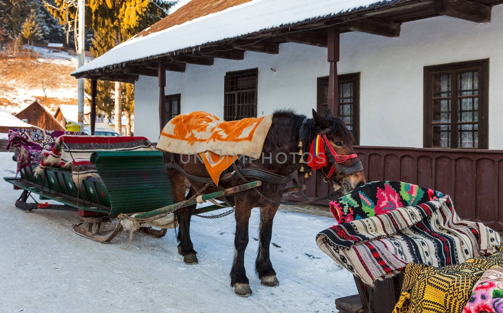 Image of a traditional sledge with horse waiting for clients in front of a characteristic house in a small touristic Romanian village.