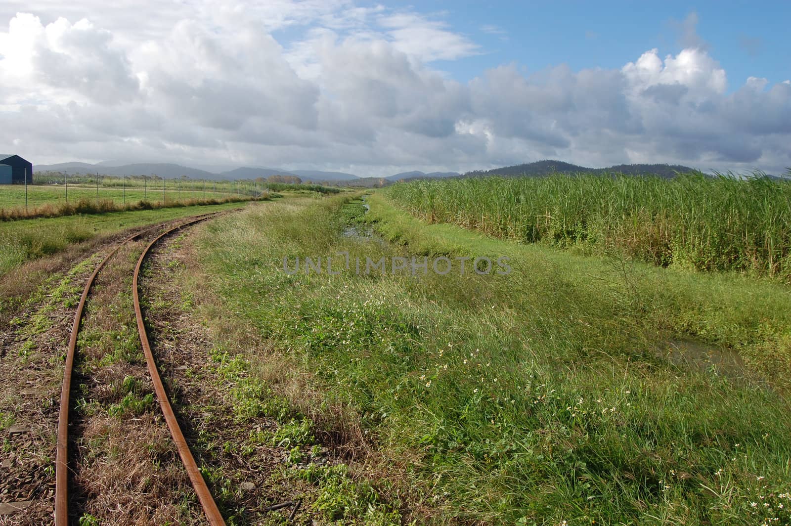 Narrow-gauge railway in sugar cane area