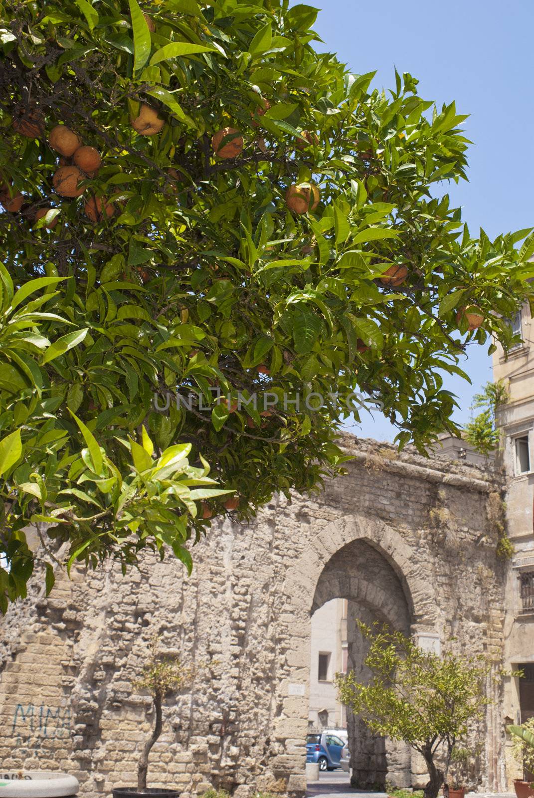 The" Porta Sant'Agata" was founded in the Norman period and the name comes from the nearby Church of St. Agatha La Pedata.Palermo, Sicily