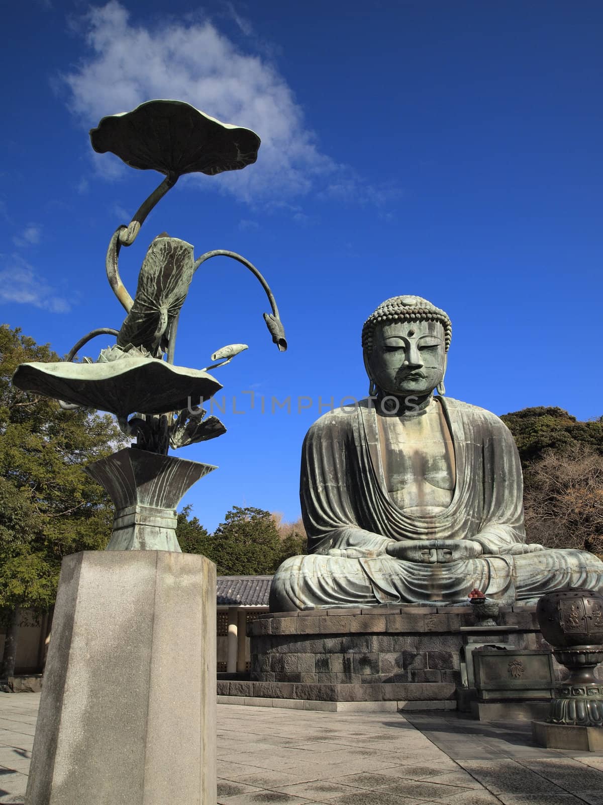 Daibutsu or the Giant buudha statue at Kotokuin temple in Kamakura city, Japan