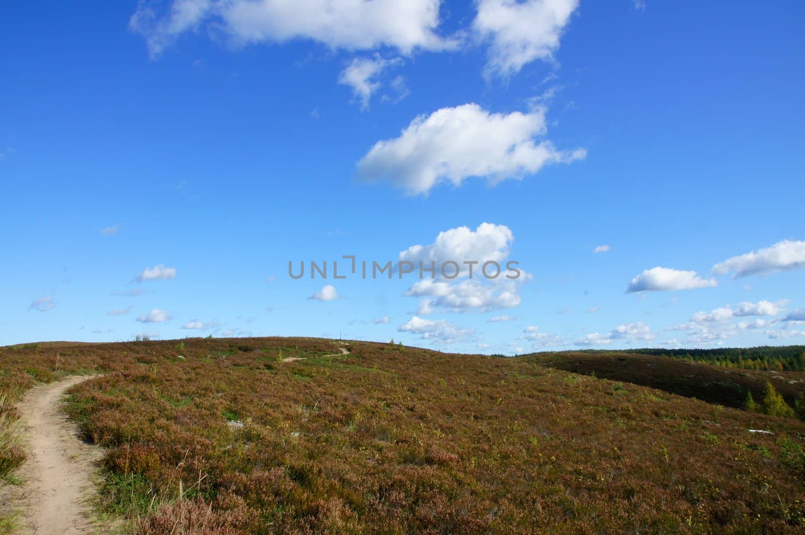 Small hills on a background of the sky