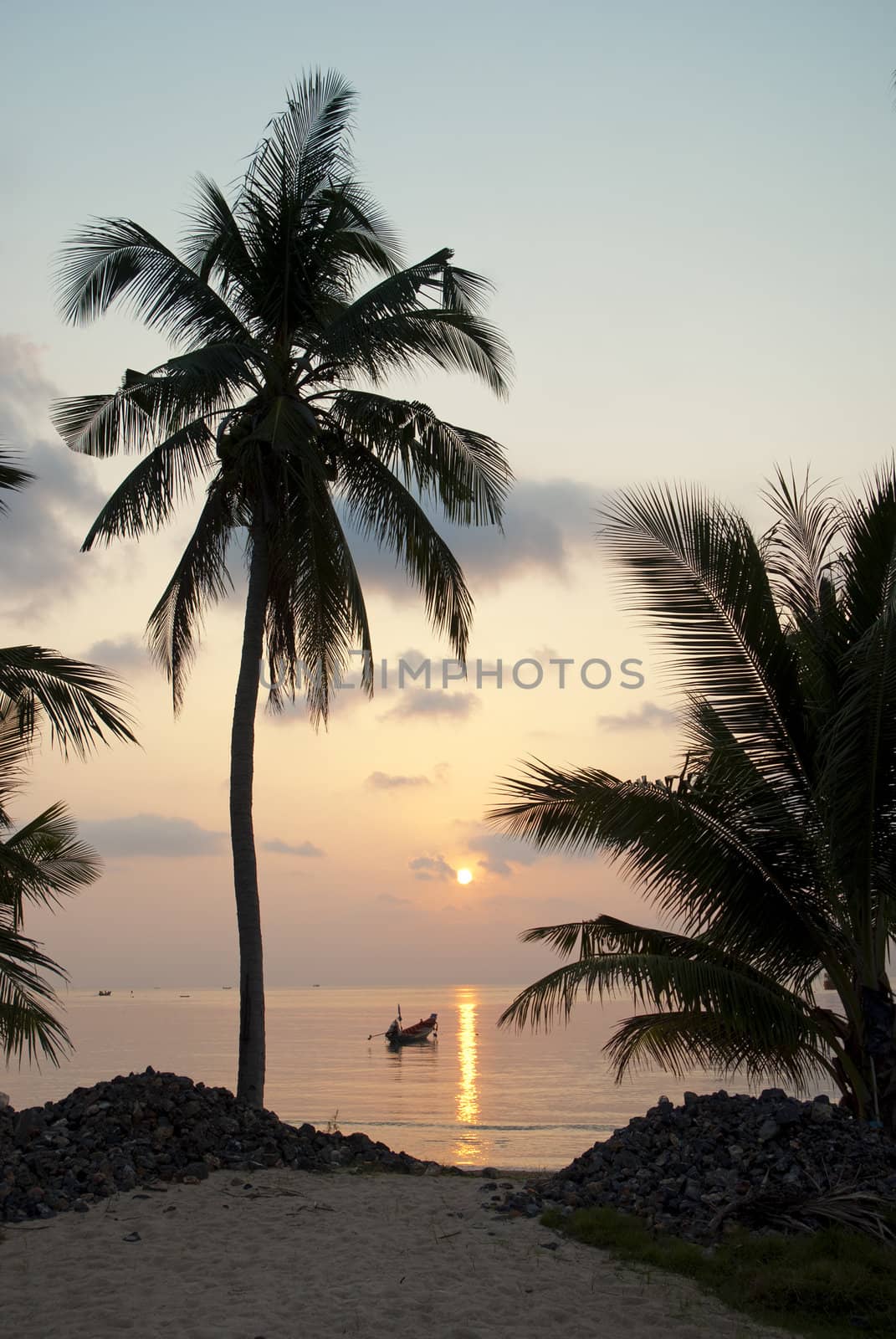 palm tree and boats at sunset on tropical island ko tao thailand