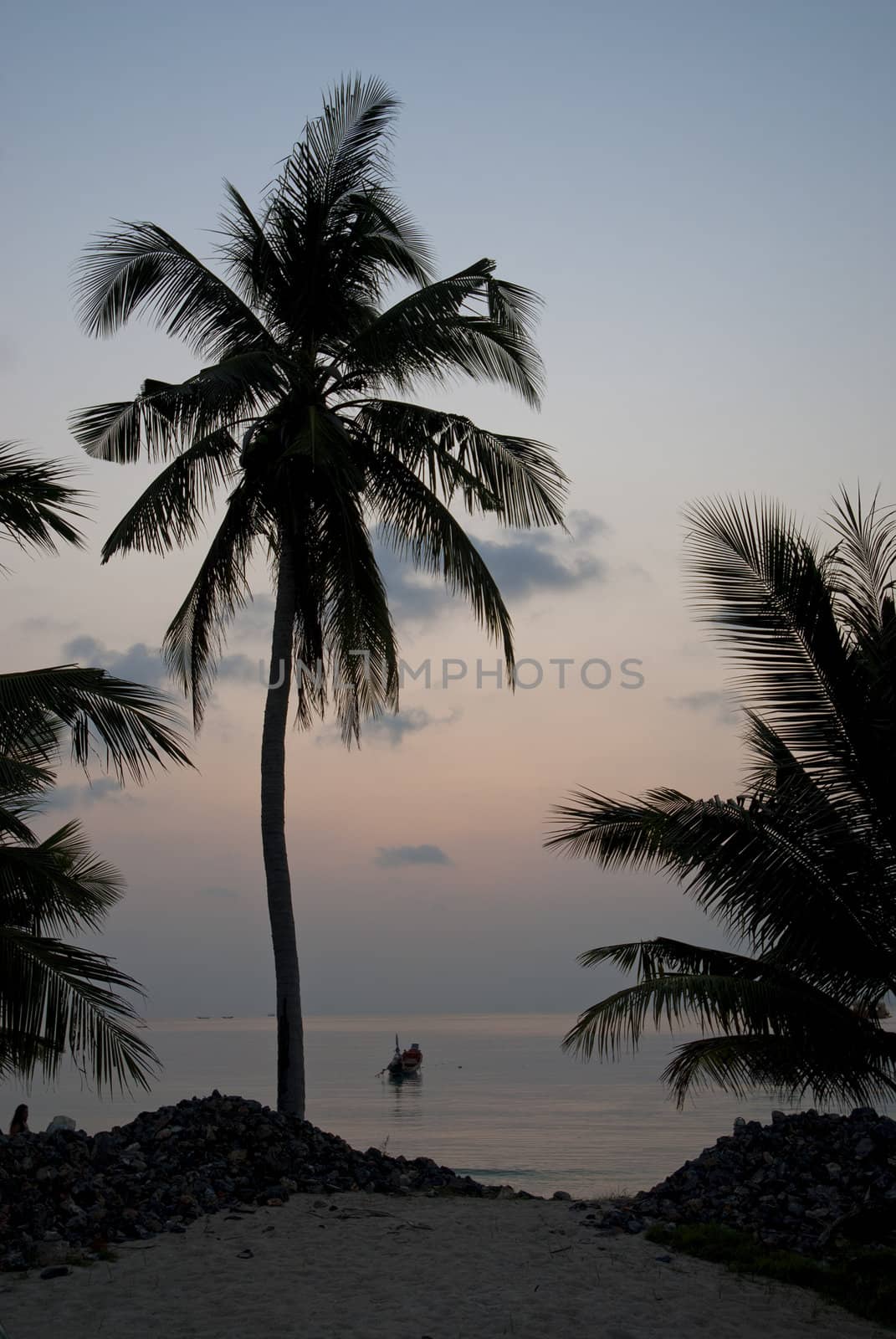 palm tree and boats at sunset on tropical island by jackmalipan