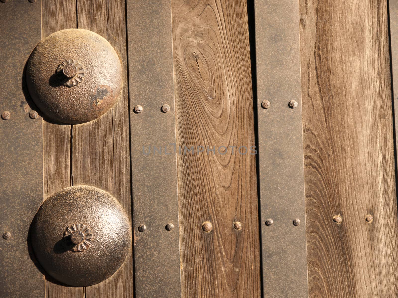 Part of a door of Himeji Castle in Japan