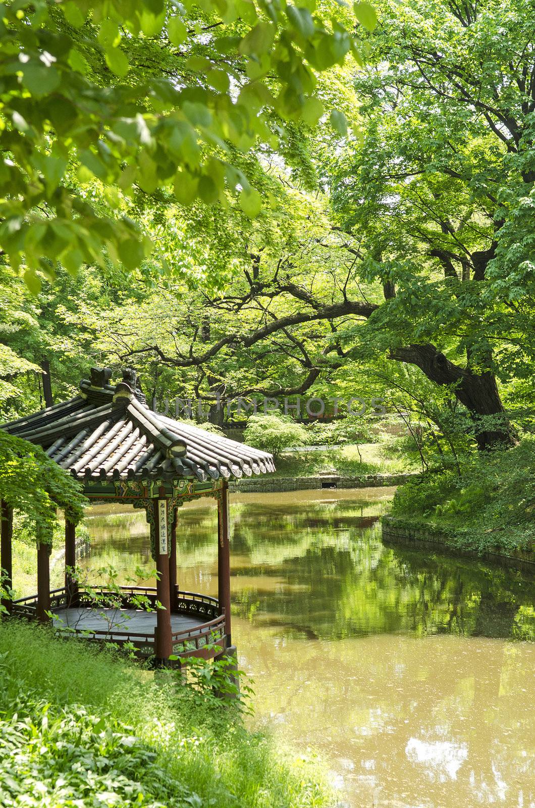 palace garden pond in seoul south korea
