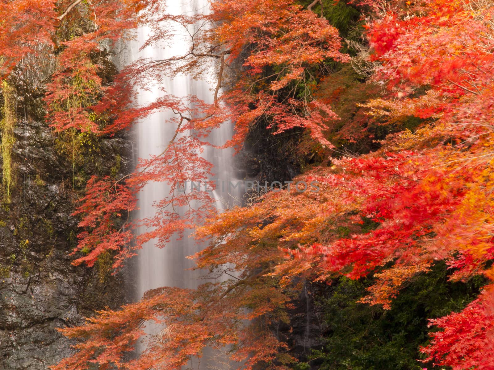 Minoh waterfall in autumn, Osaka, Japan