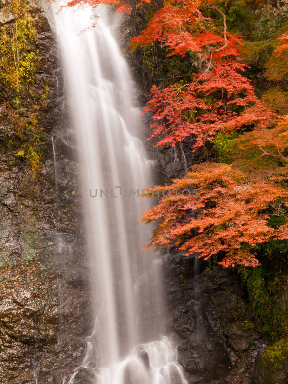 Minoh waterfall in autumn, Osaka, Japan