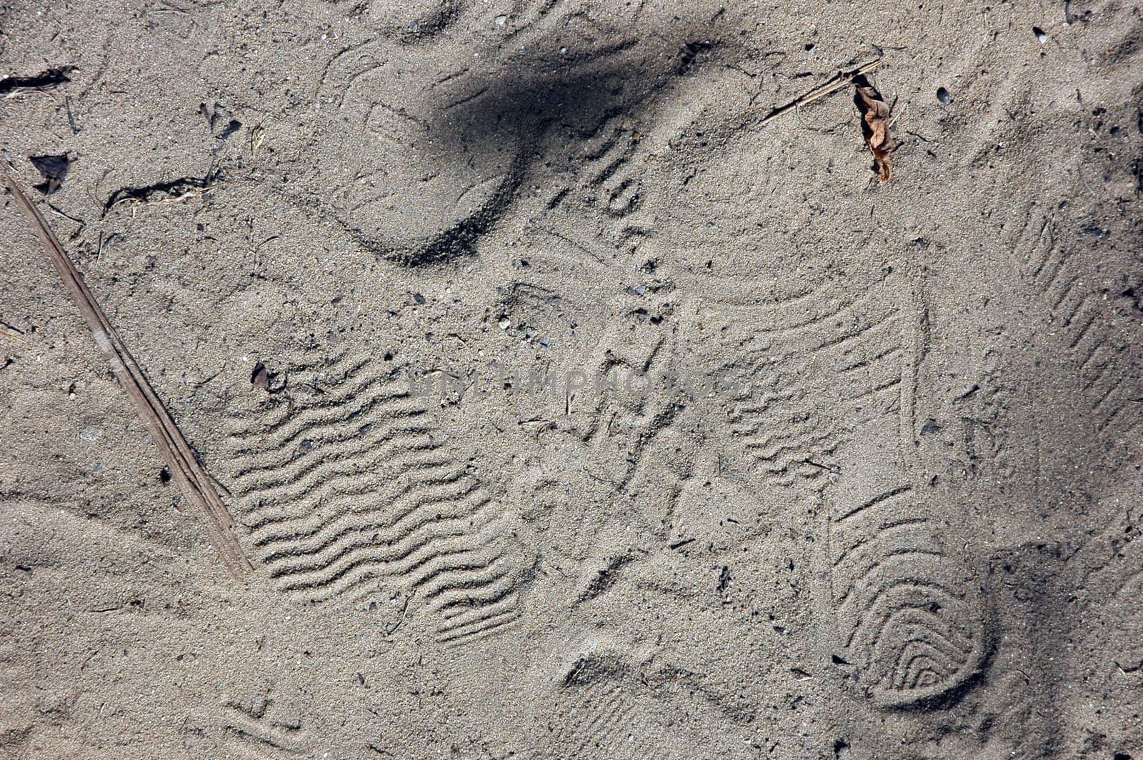 footprint in the sand in Death Valley