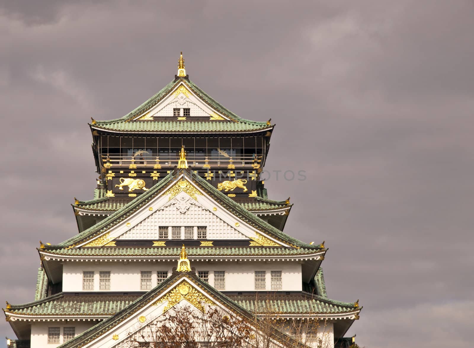 Osaka castle and the cloud before rain.