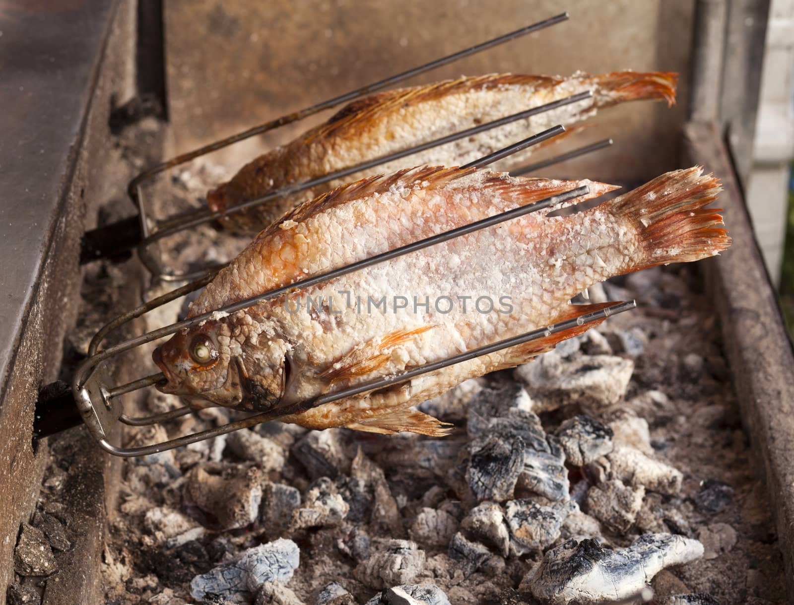 Thai styled Roasting Tilapia fish with salt