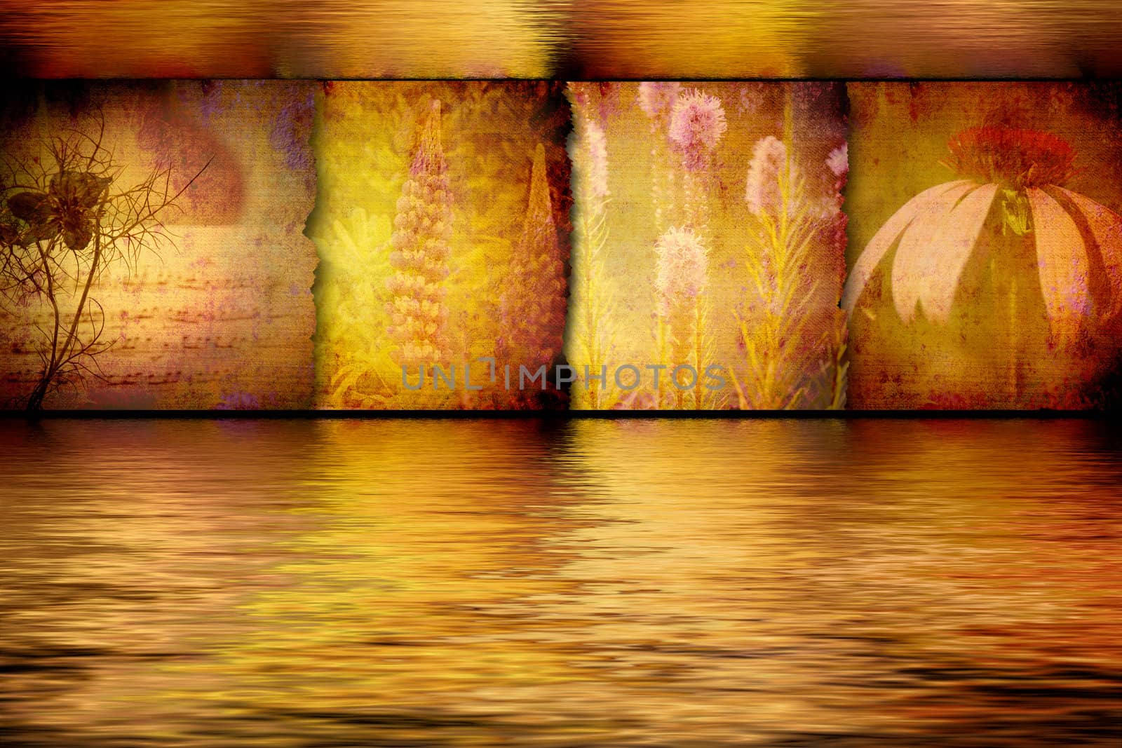 pictures of exotic flowers in golden water background
