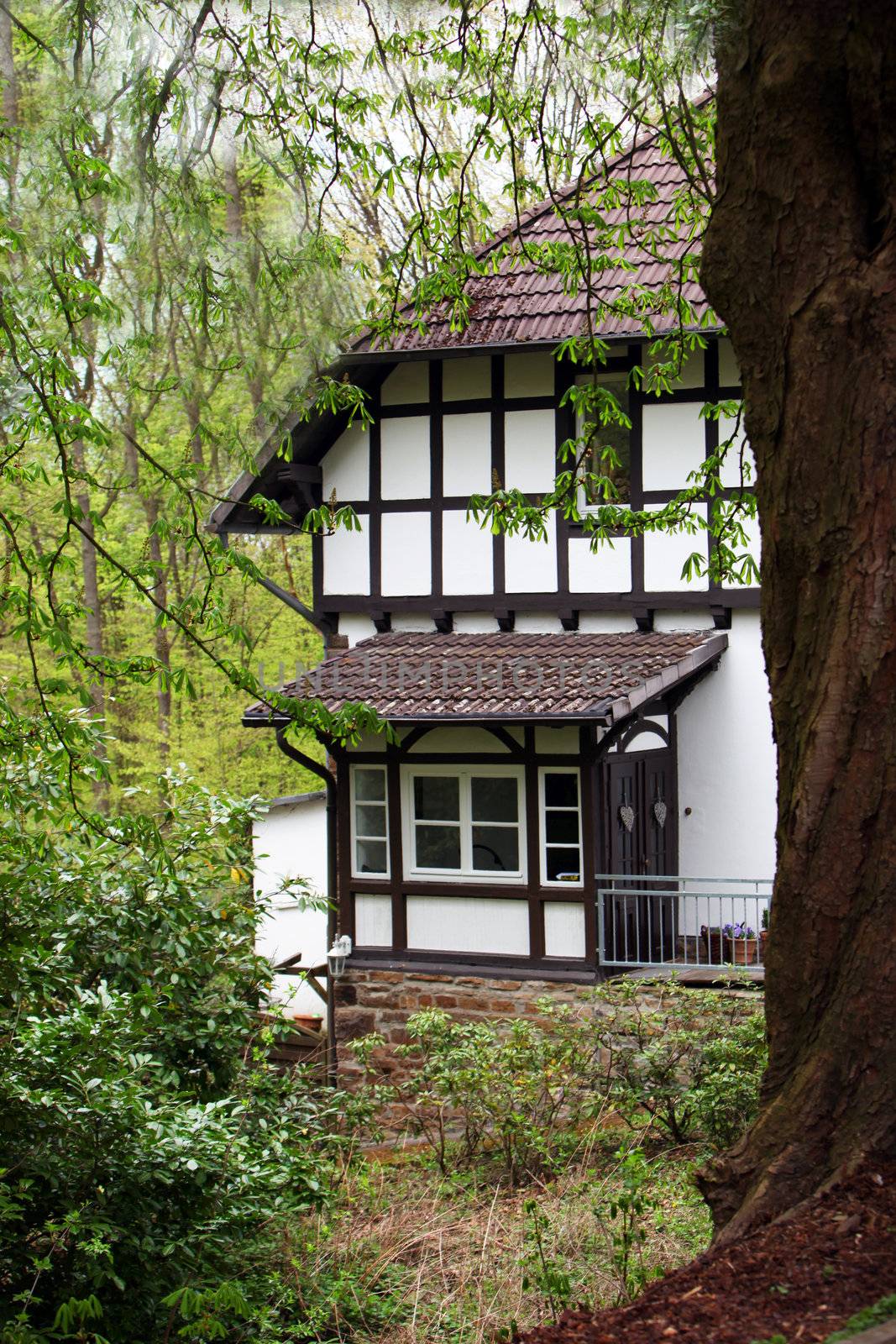 Quaint half timber frame house in the Tudor style nestling amongst trees and greenery