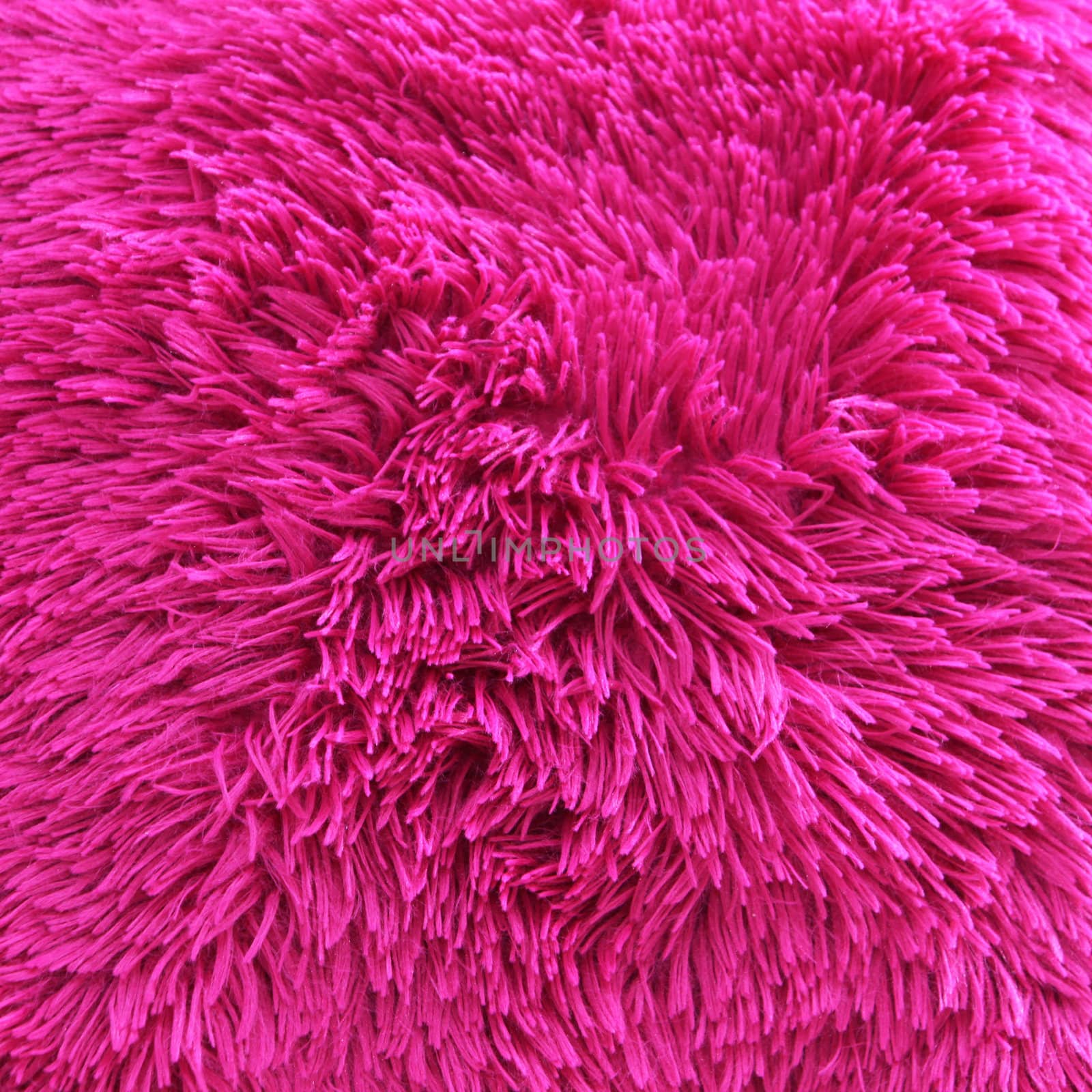 Vivid pink shaggy carpet pile by Farina6000