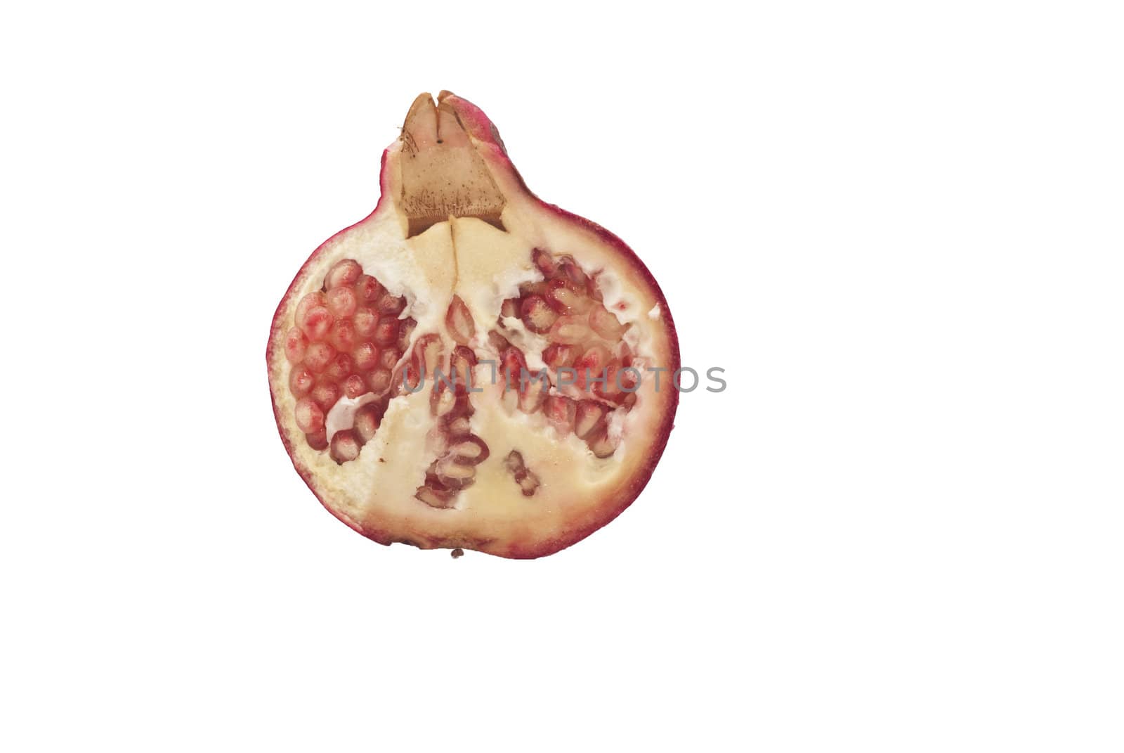 pomegranate fruit  by gandolfocannatella
