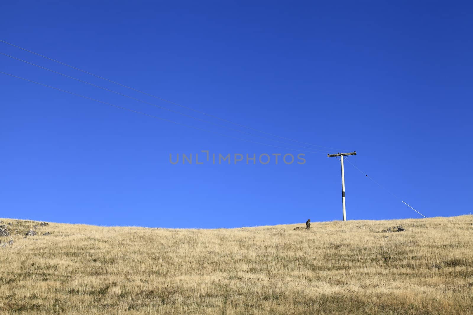 Electricity post stand alone in dry glass field