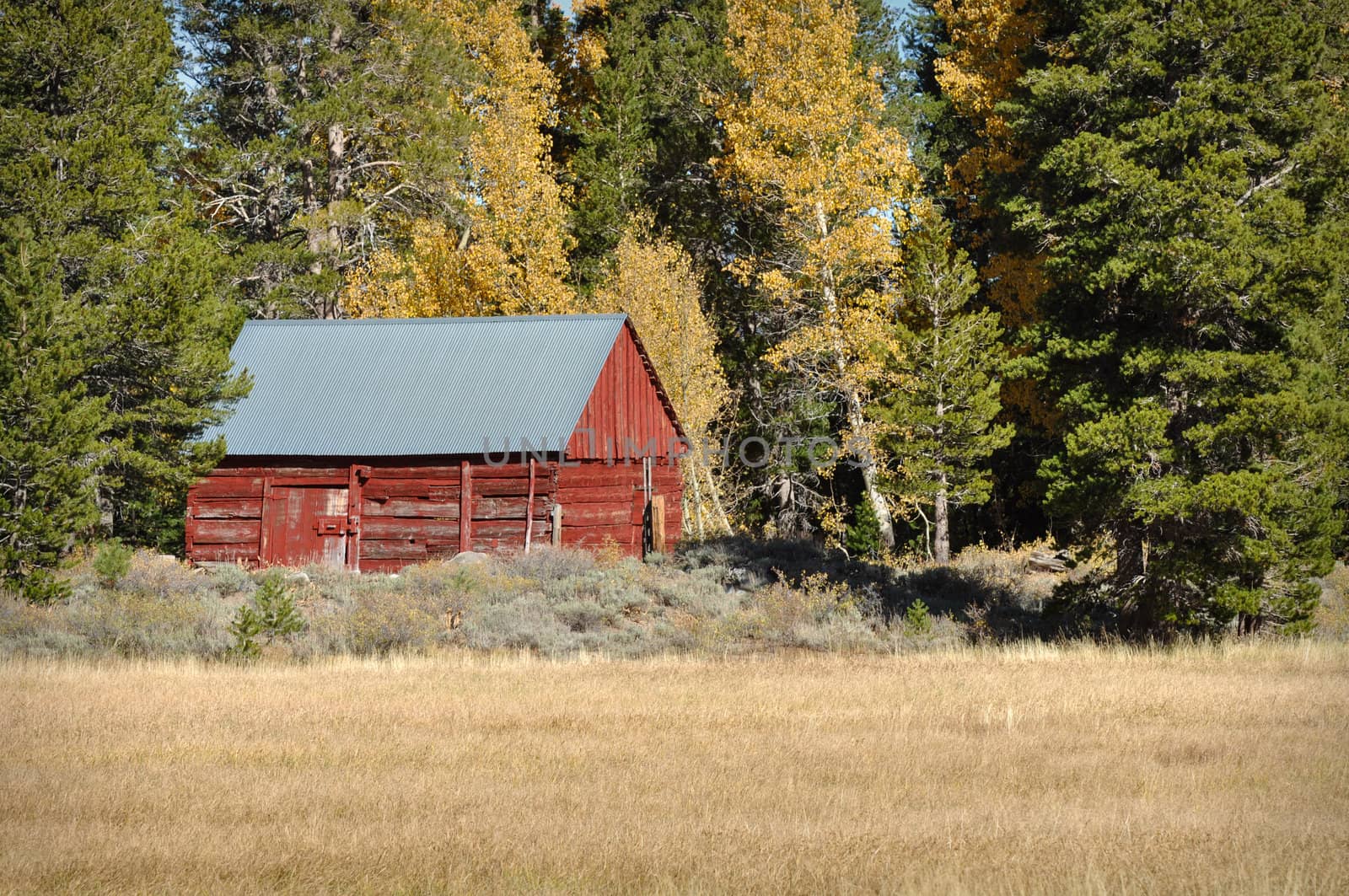 Red Cabin in the Fall