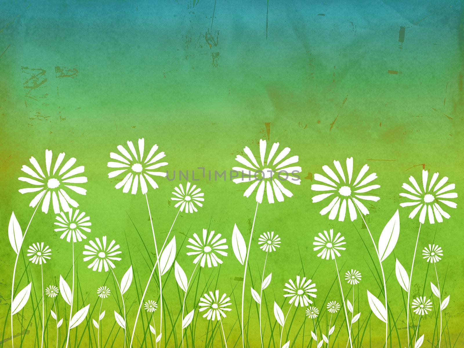 spring flowers white daisy over green old paper background