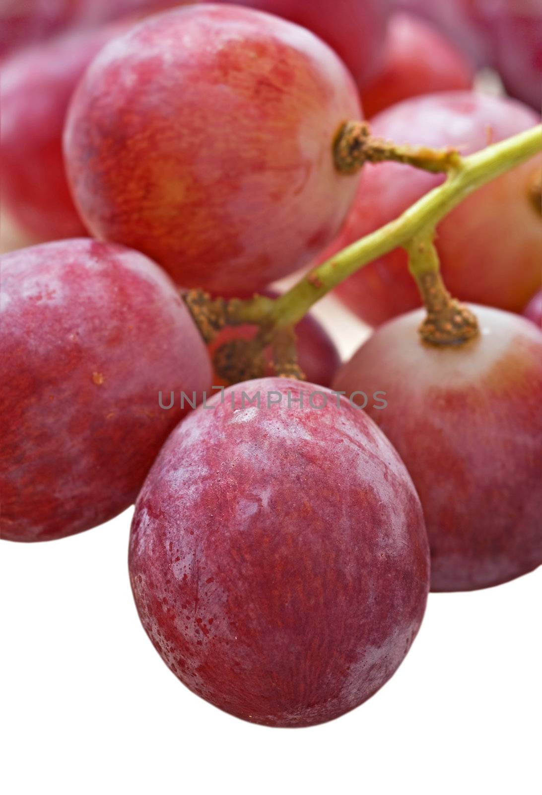 Bunch of red grapes on white background