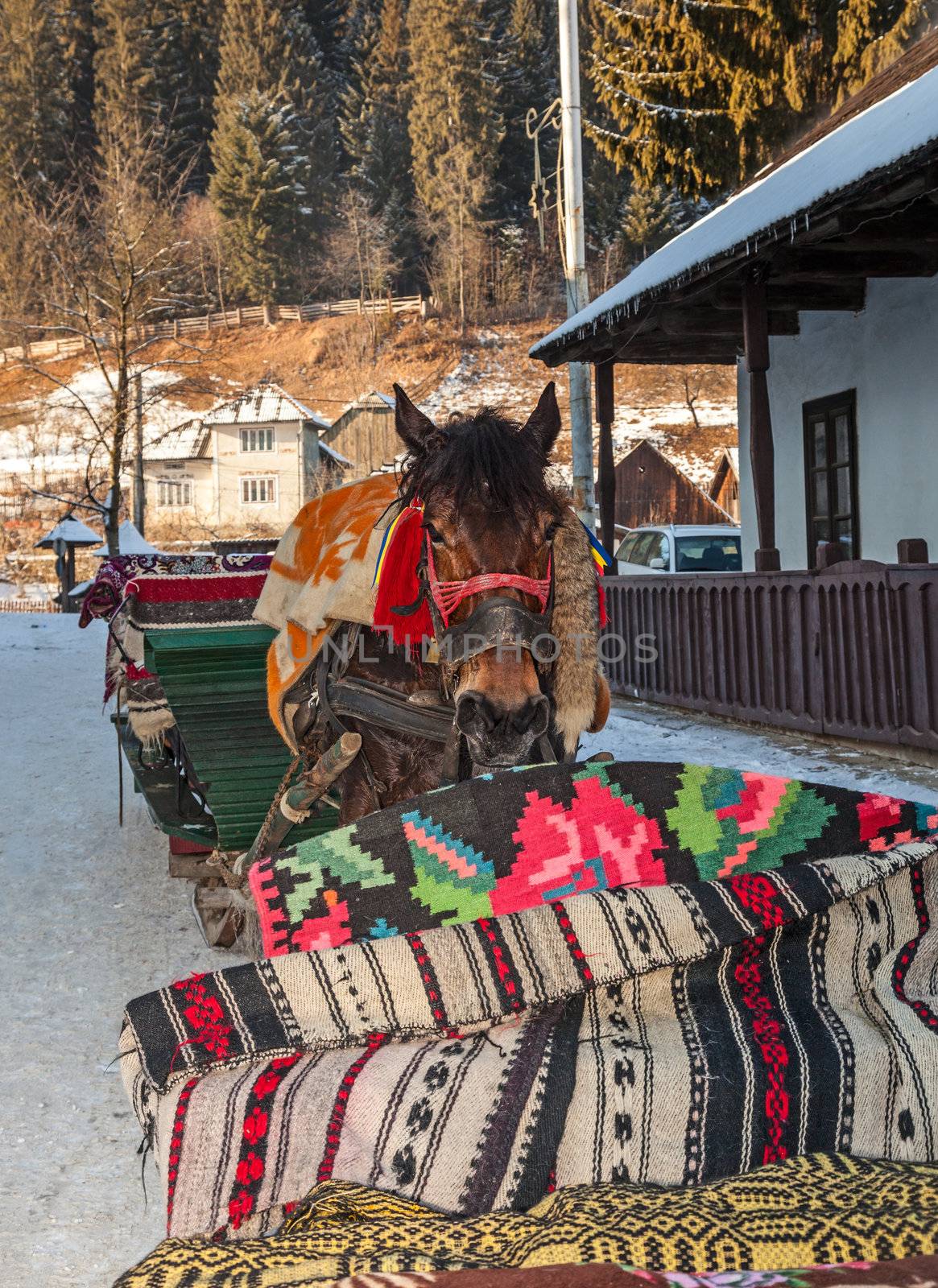 Portrait of a Traditional Romanian Sledge Horse by RazvanPhotography