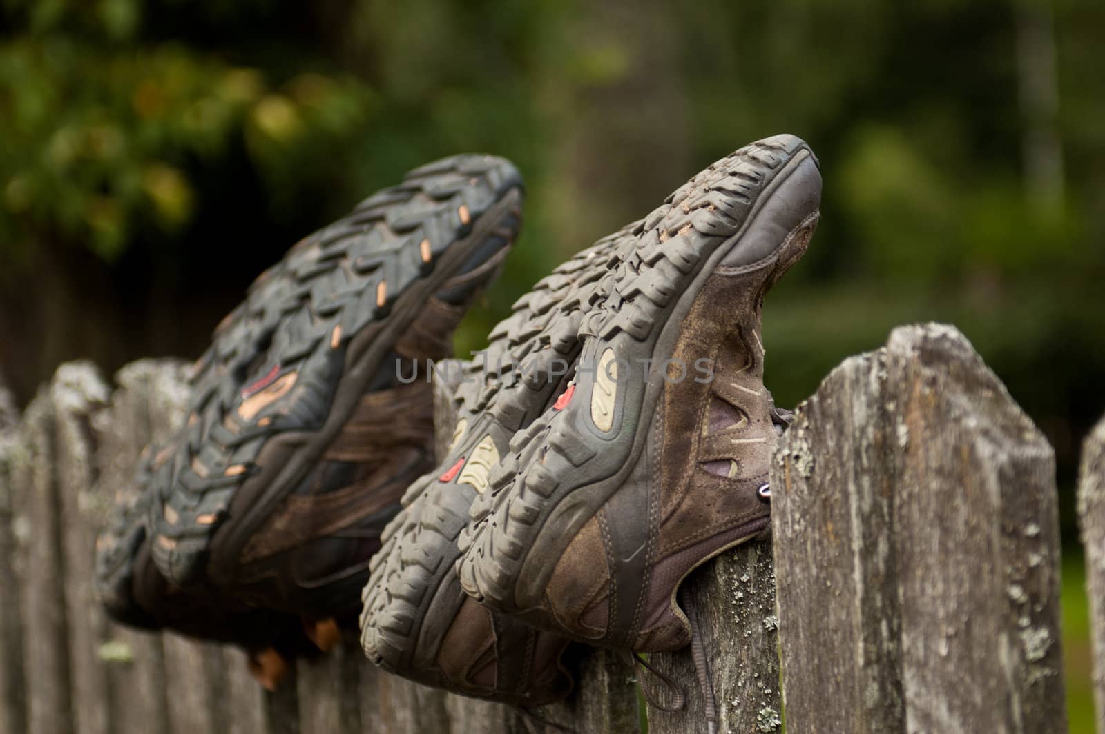 Worn hiking shoes on an old fence







Hiking shoes on a fence
