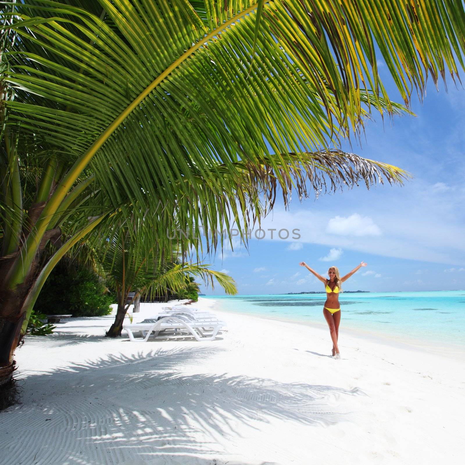 woman in bikini under palm on sea background