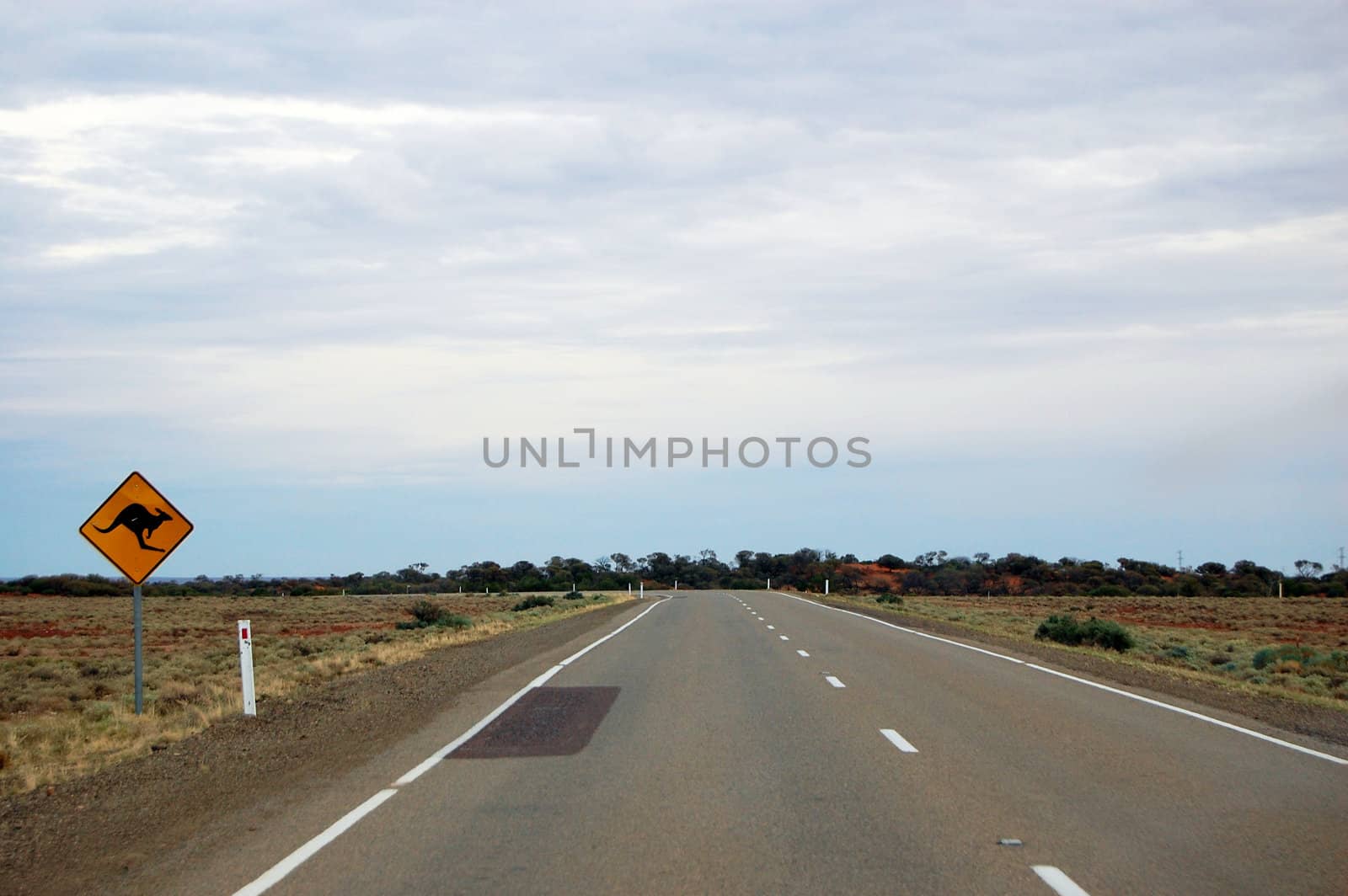 Kangaroo road sign by danemo