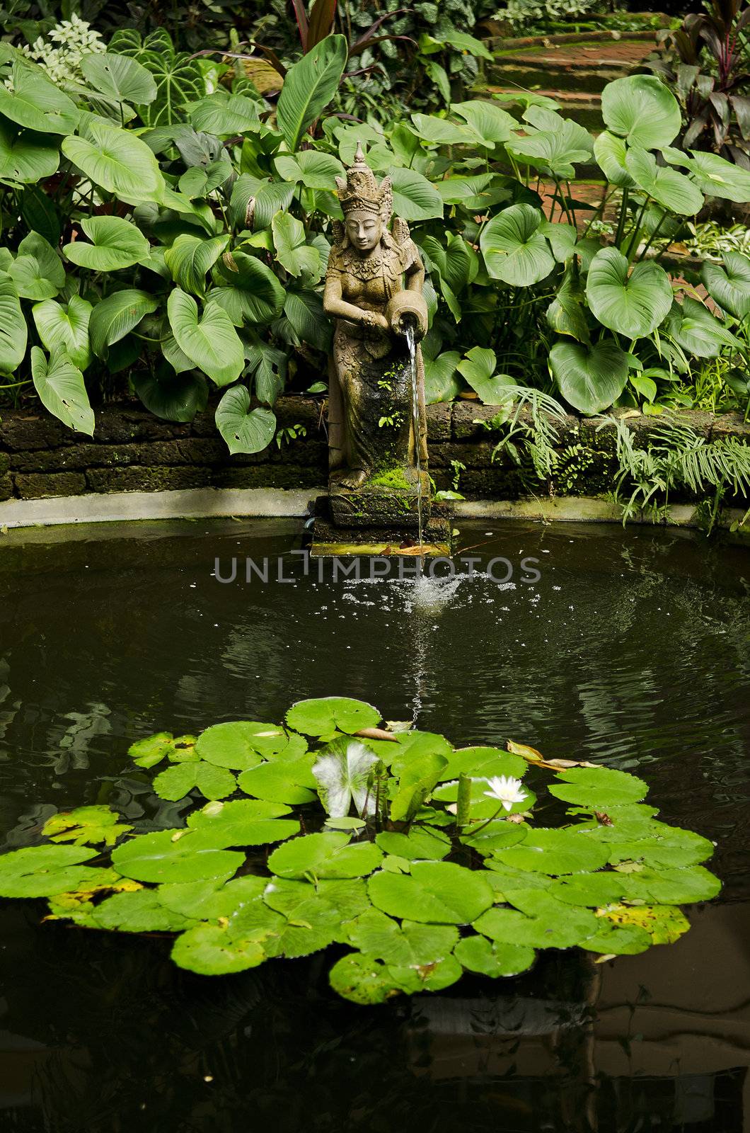 garden pond detail by jackmalipan