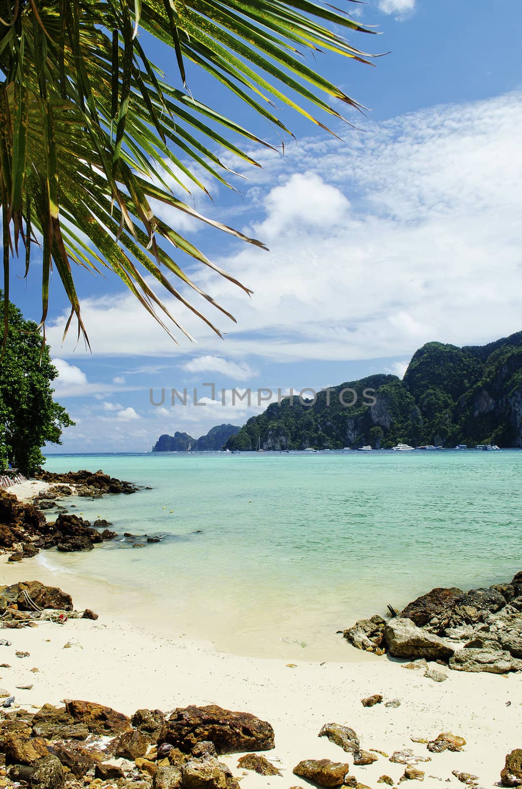 tropical island beach in thailand by jackmalipan
