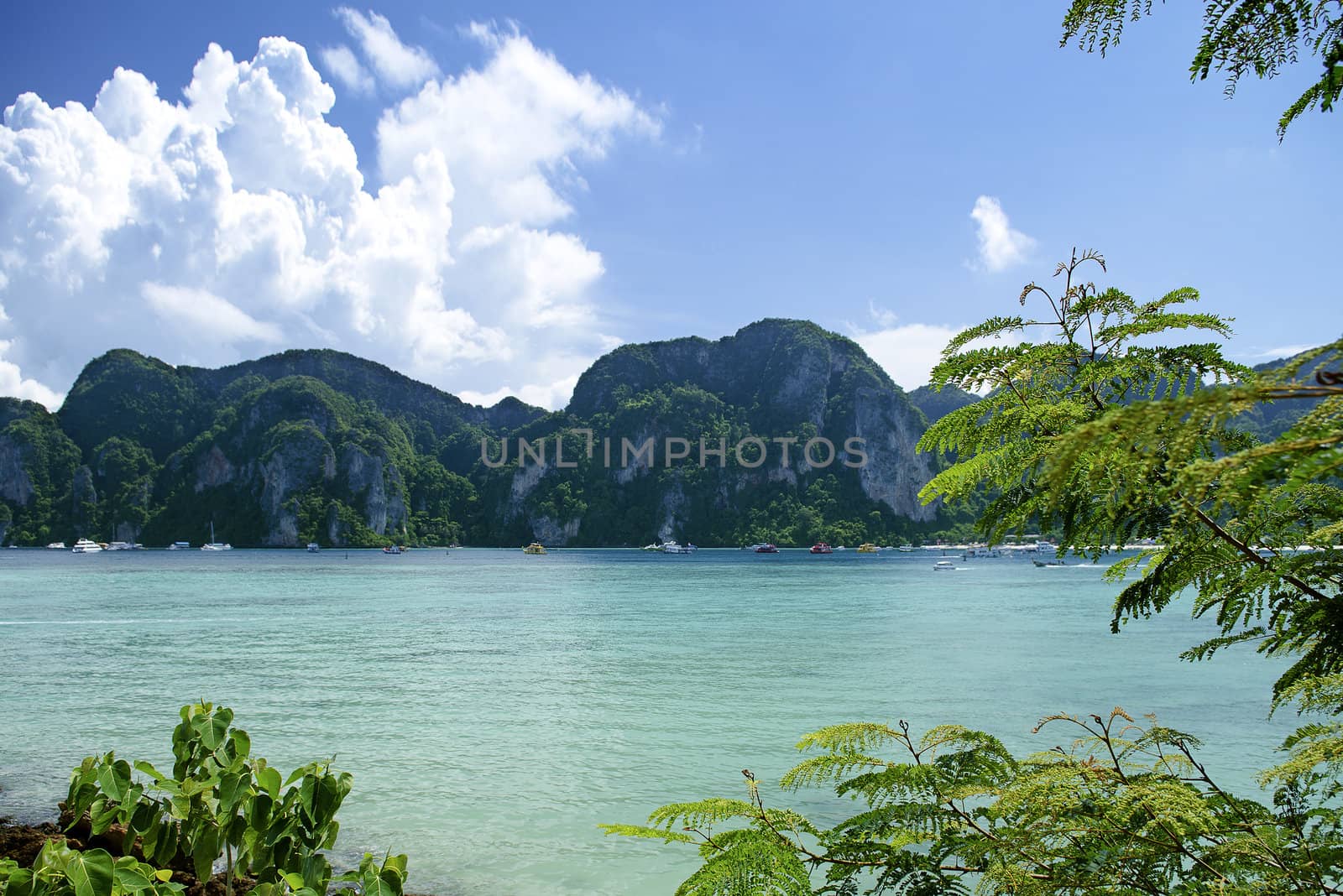 phi phi tropical paradise islands in thailand by jackmalipan