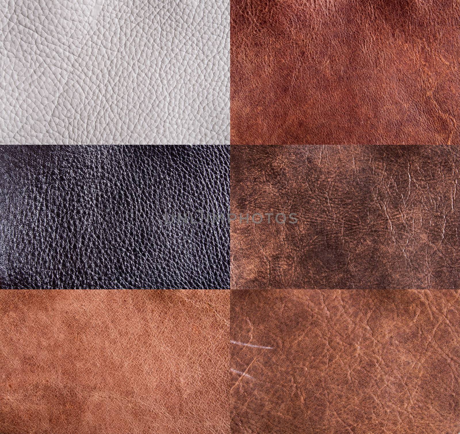 collection of leather textures set for background.