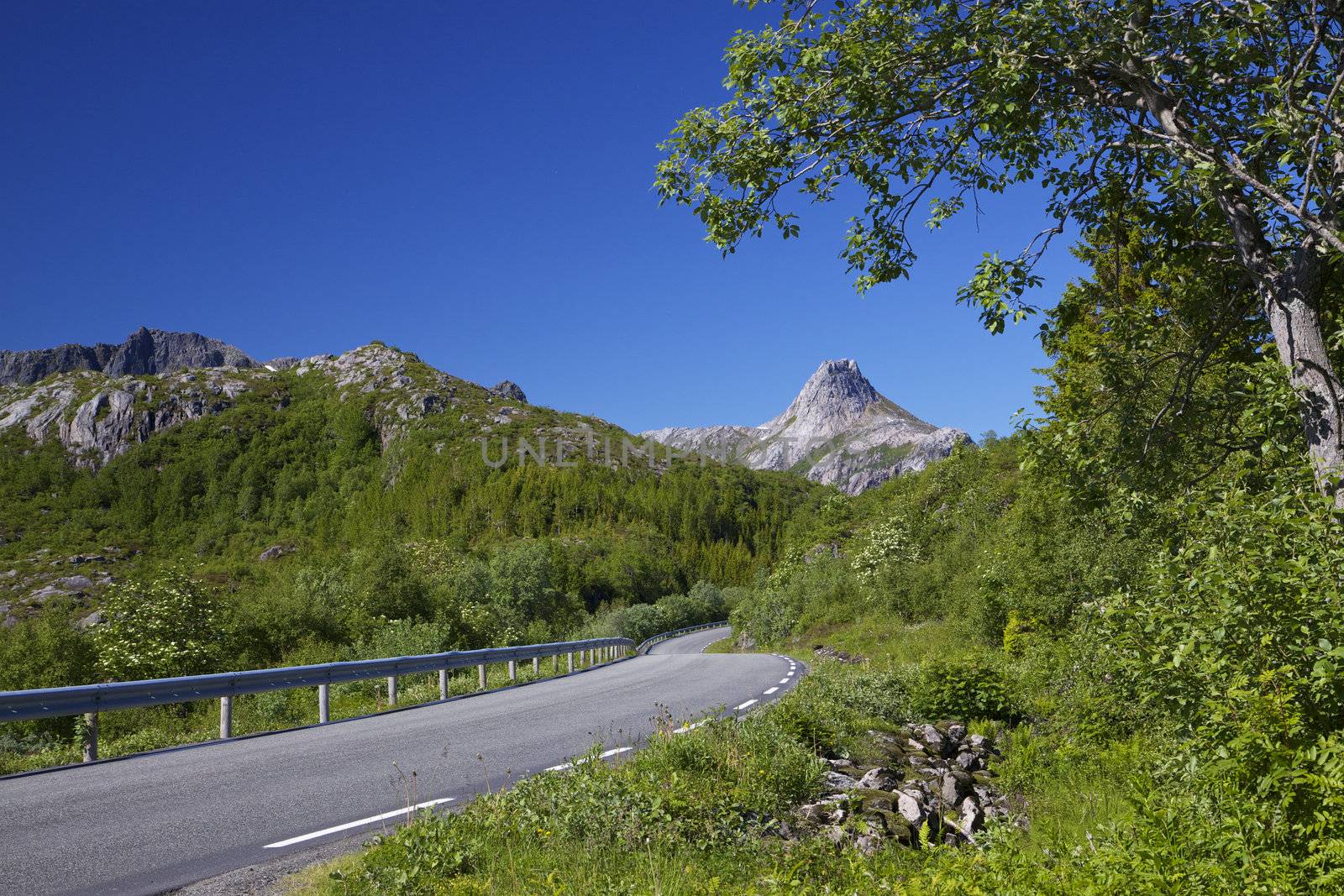 Picturesque road across Lofoten islands in arctic Norway, popular destination of many european roadtrips