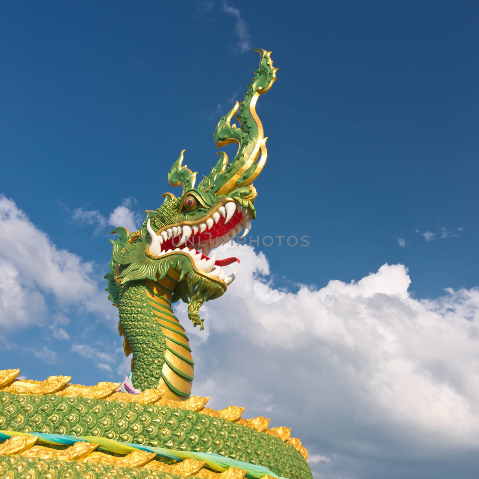 The head of asian dragon on the cloudy sky background