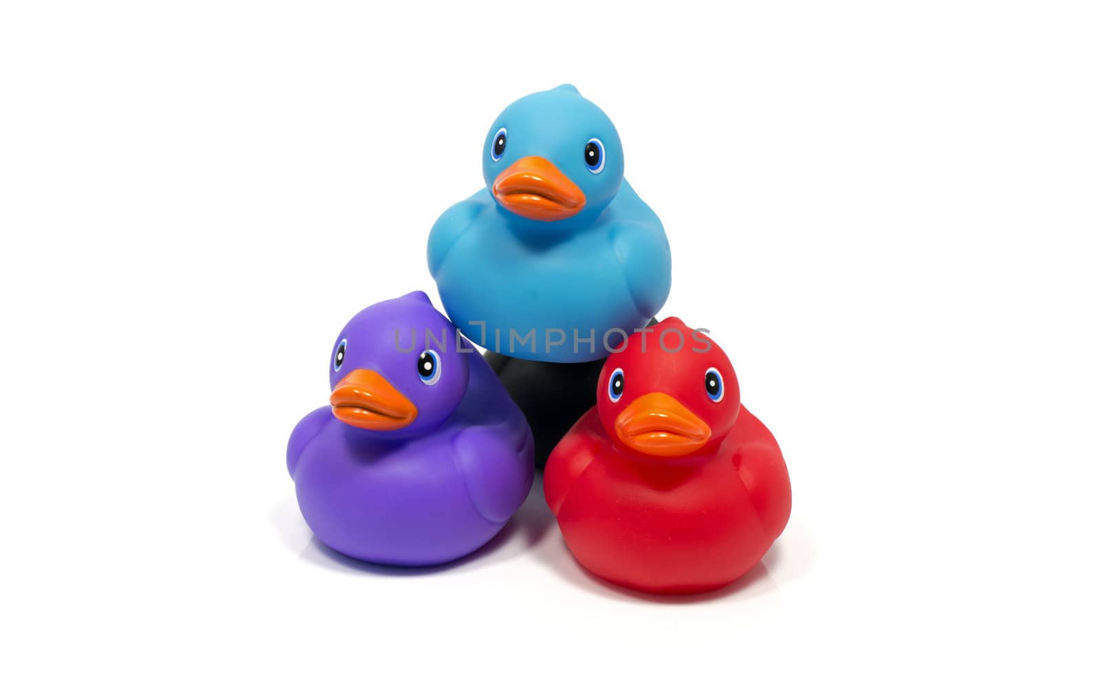 blue pink and red batch ducks isoalted on white