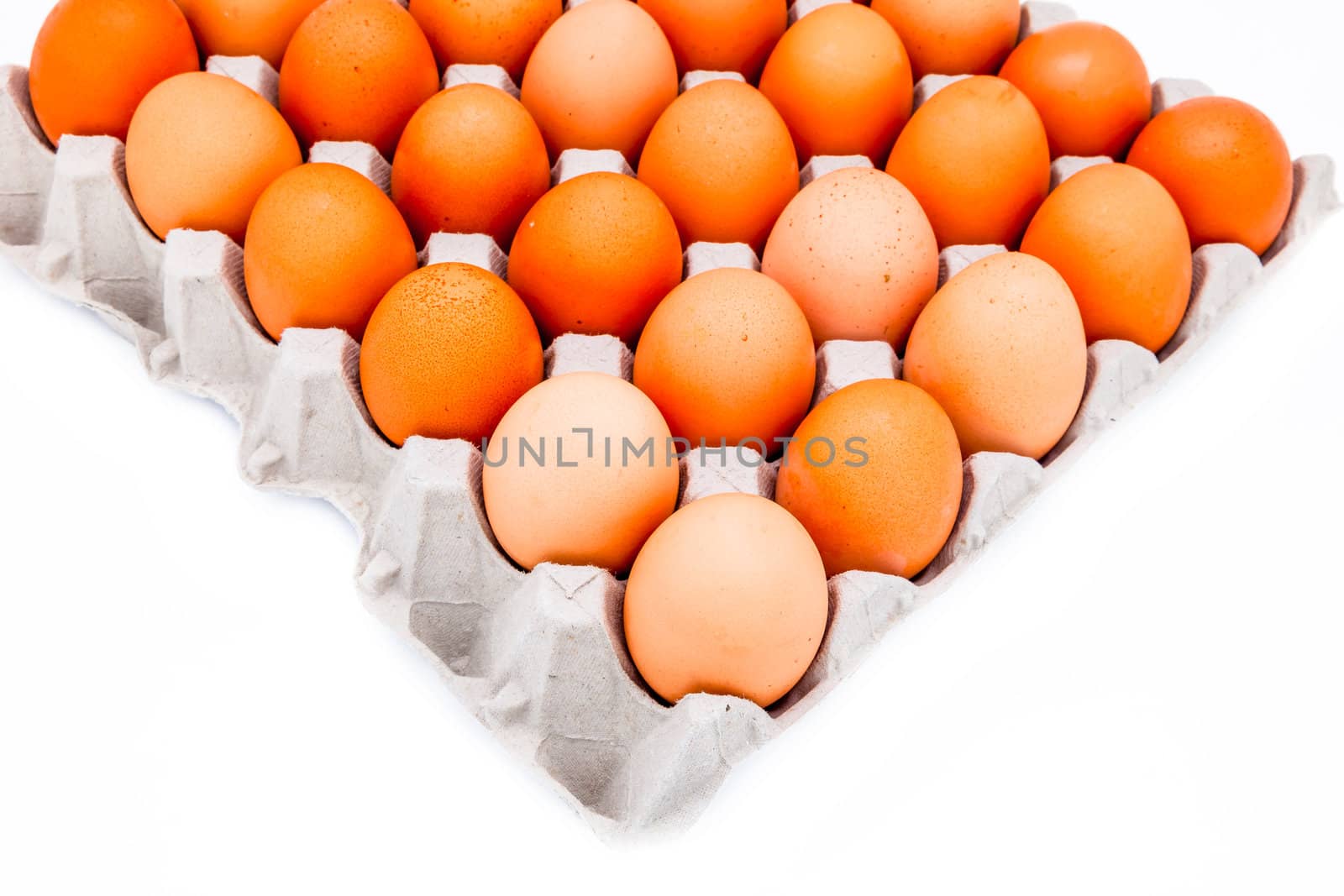 Eggs in a carton isolated on a white background