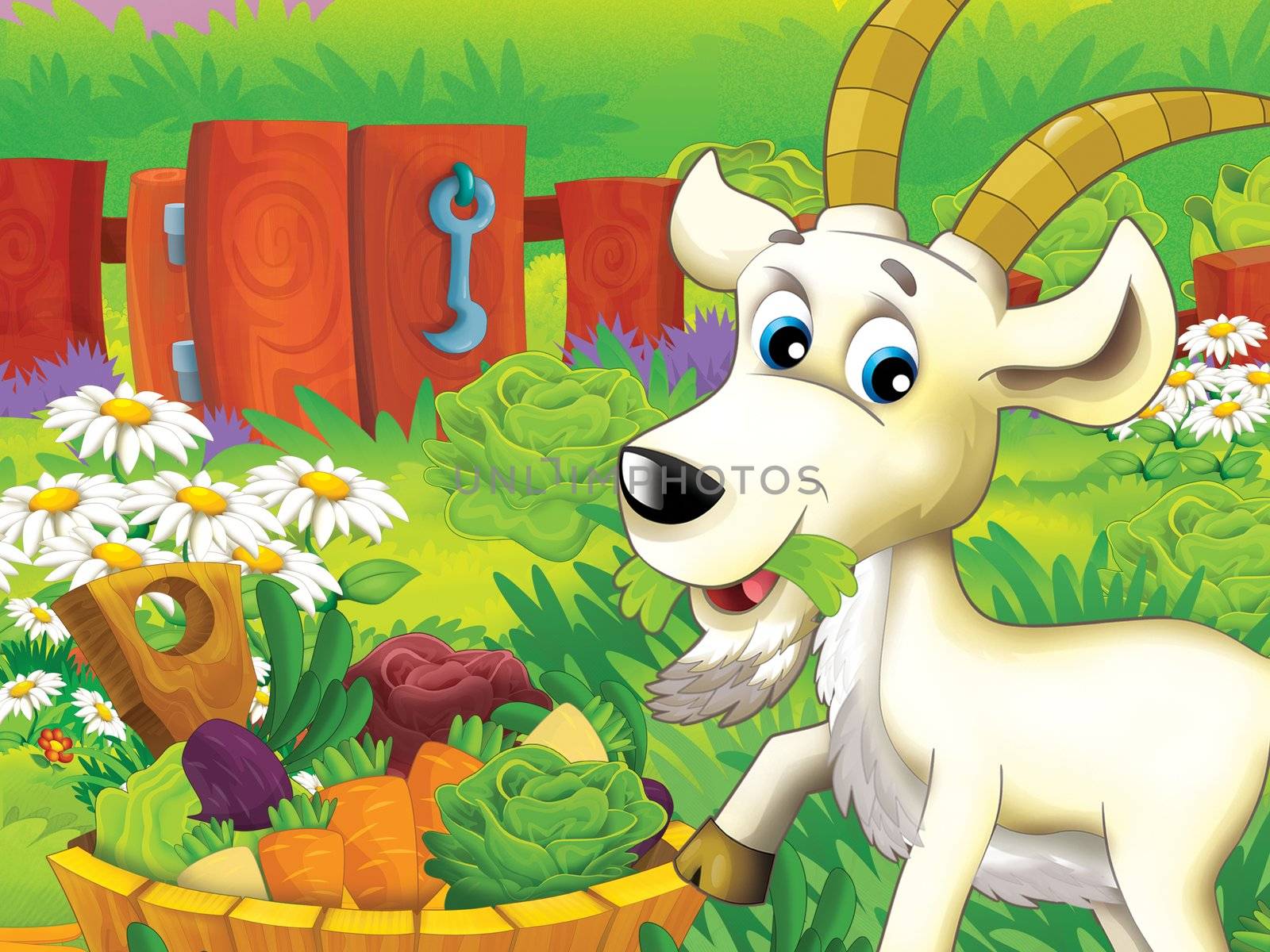 Beautiful cartoon illustation with many elements - educational