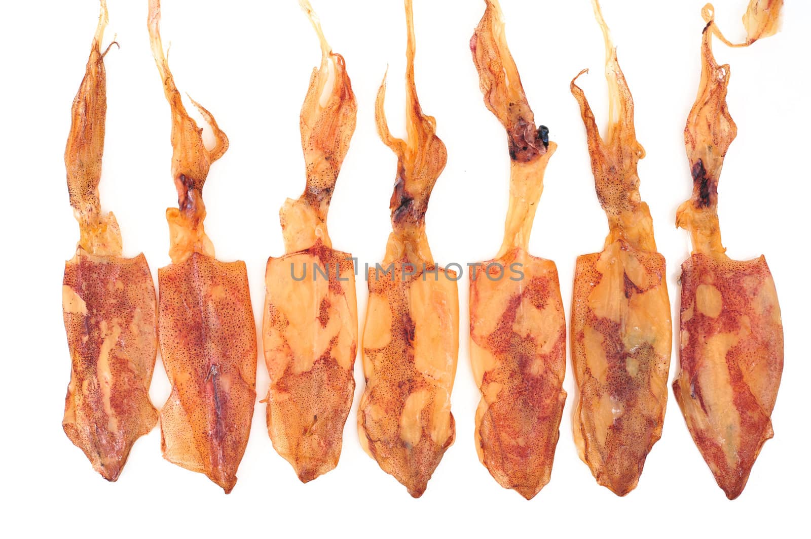 Dried Squid isolated on white