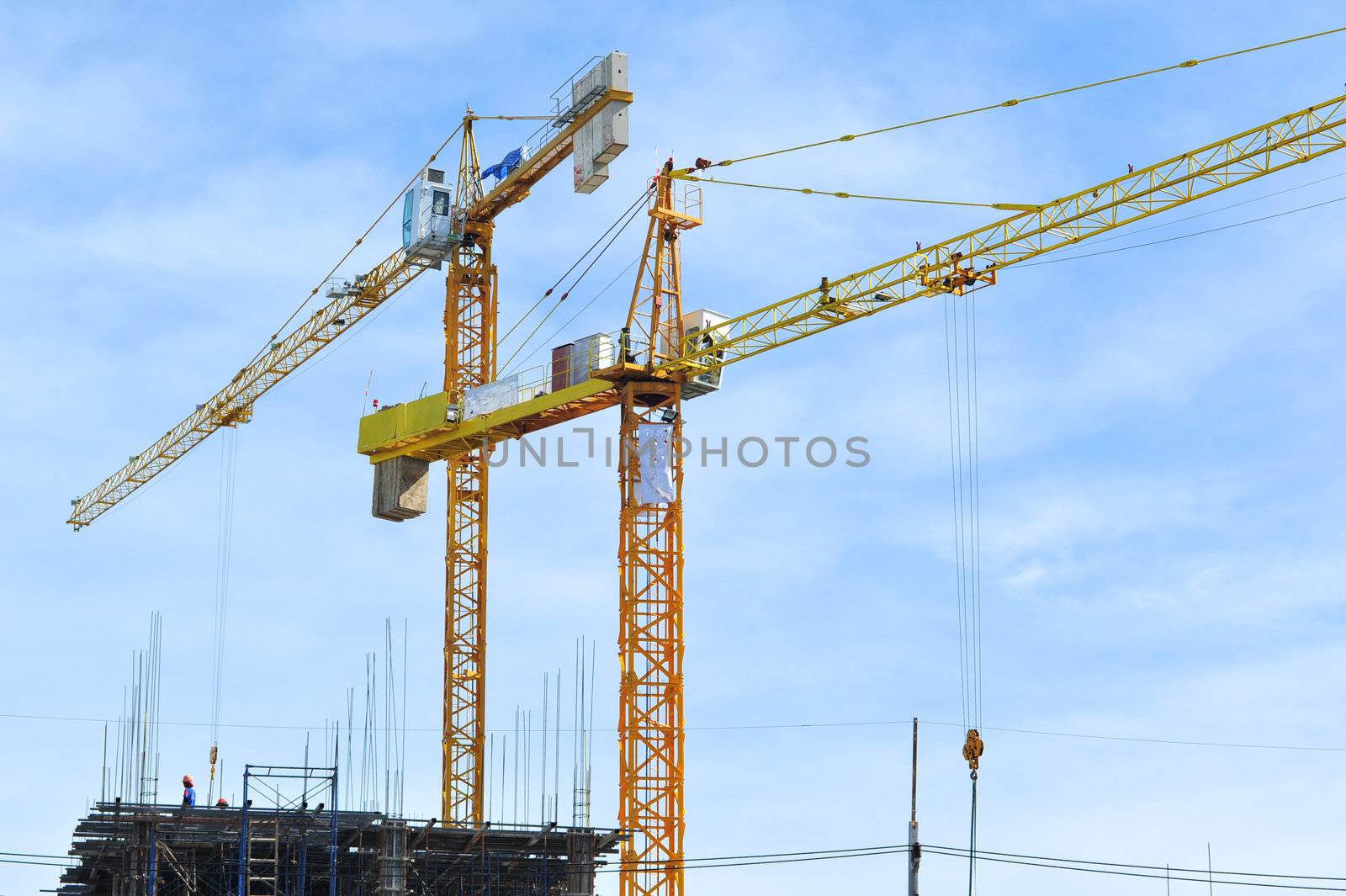 Cranes in Construction Site