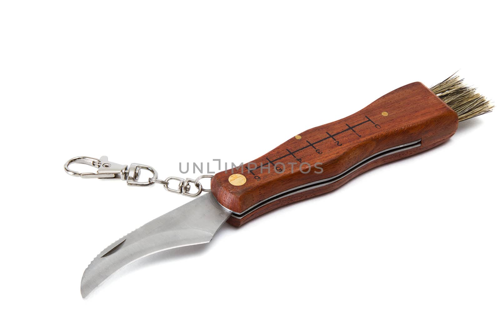 Folding knife  by Ohotnik