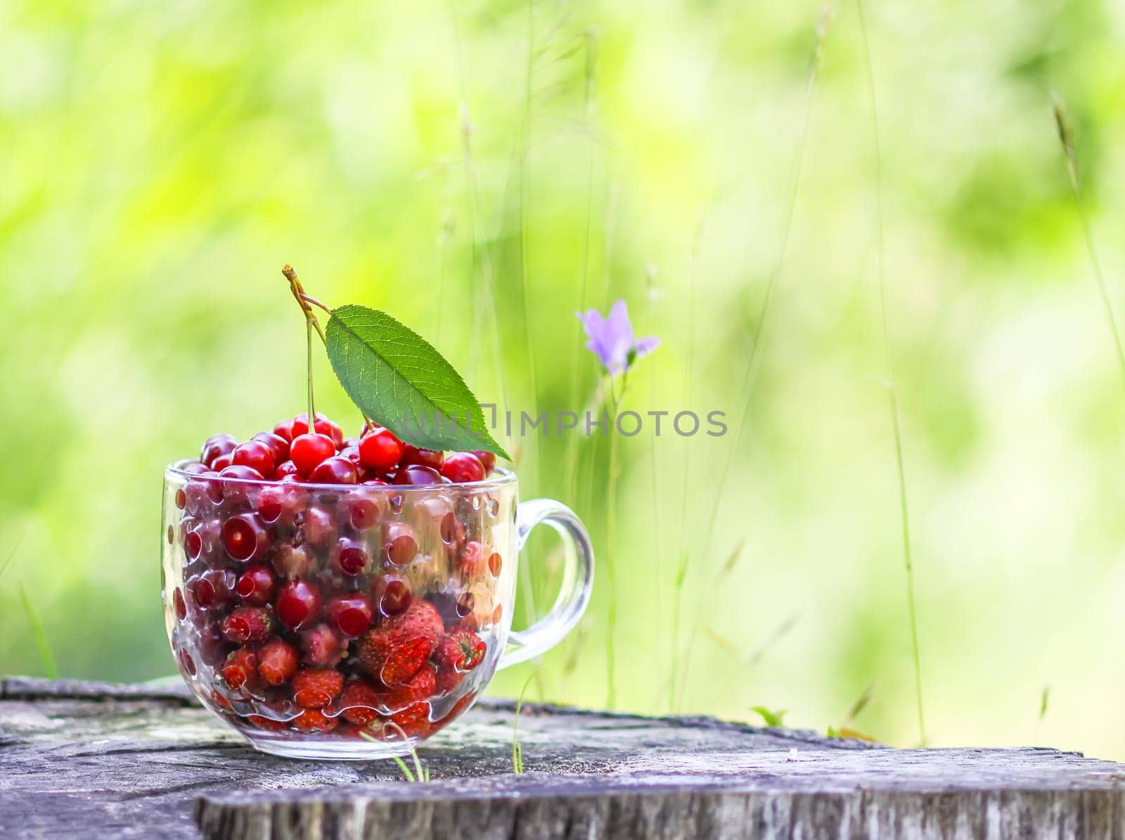 Ripe wet cherries and strawberries in a transparent cup on tree stump. Fresh red fruits in summer garden in the countryside