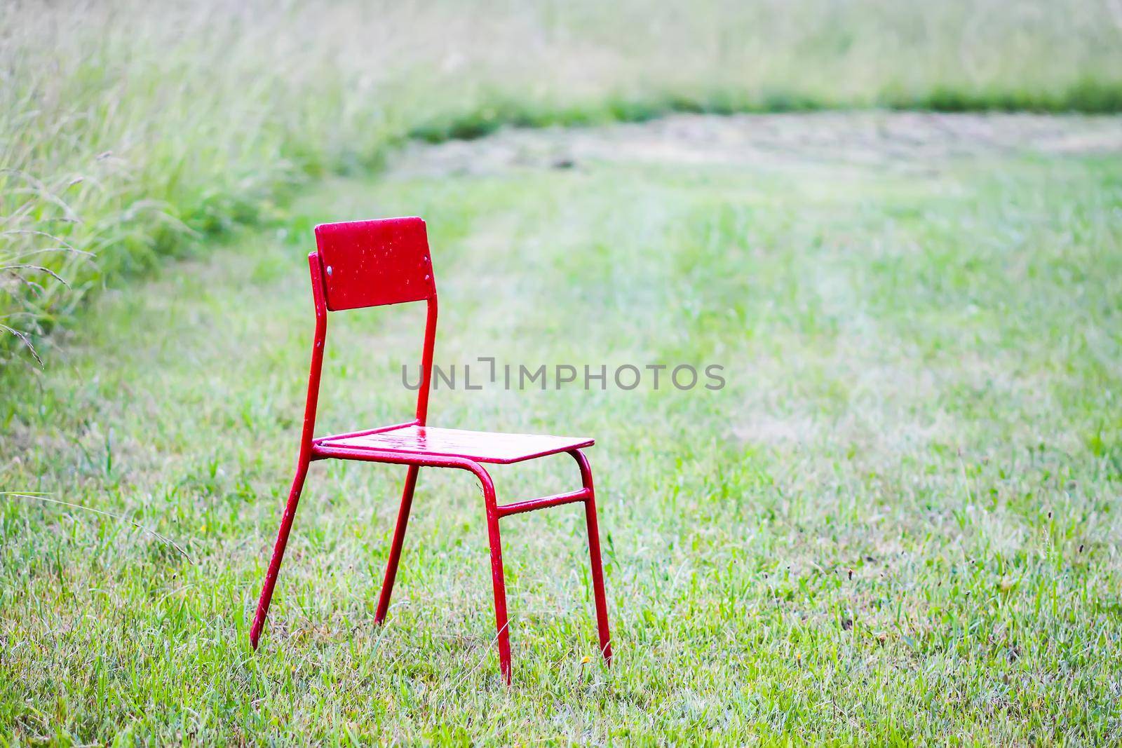 Red chair on green meadow om mown grass background. by nightlyviolet