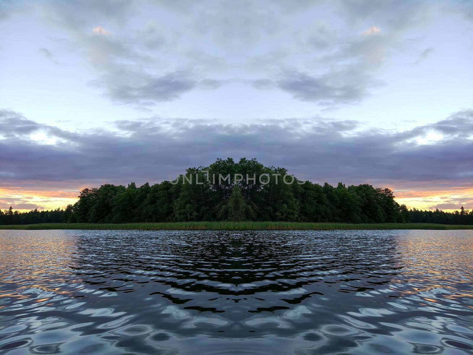 Calm lake surface at evening in Latvia, East Europe. summer sunset landscape with water and forest.