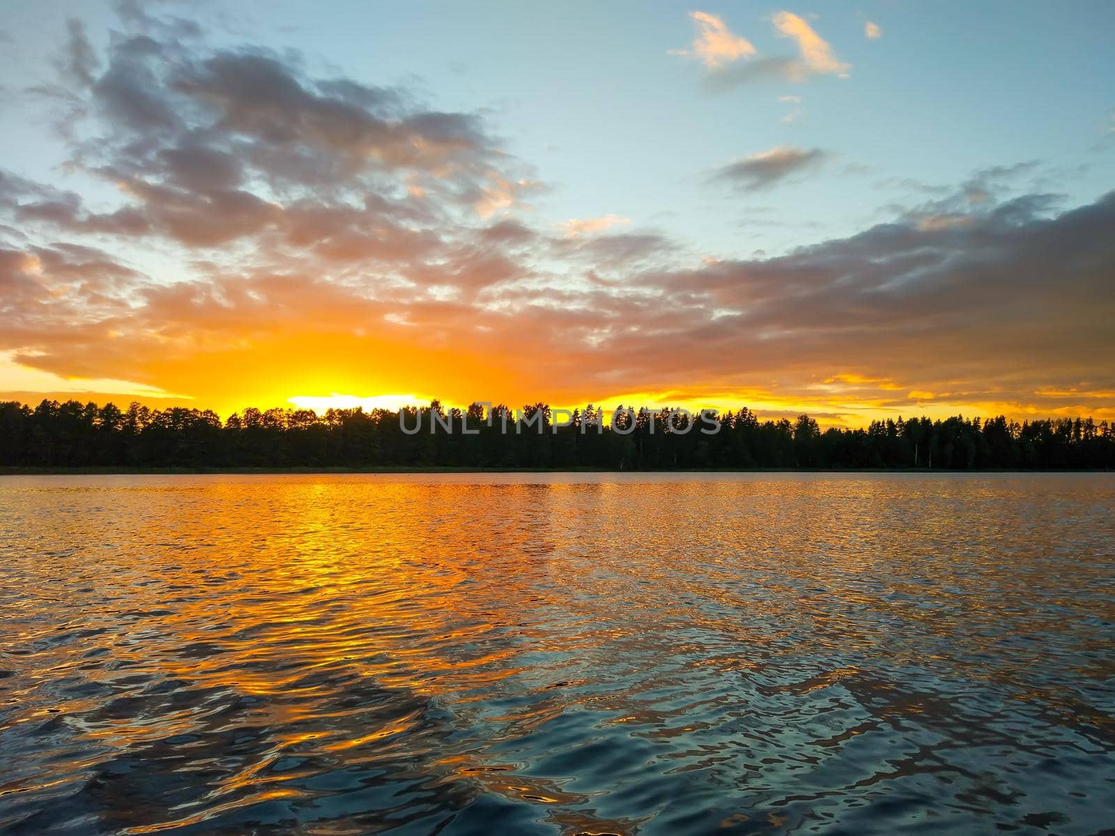 Lake surface at evening in Latvia, East Europe. Landscape with water and forest. by nightlyviolet