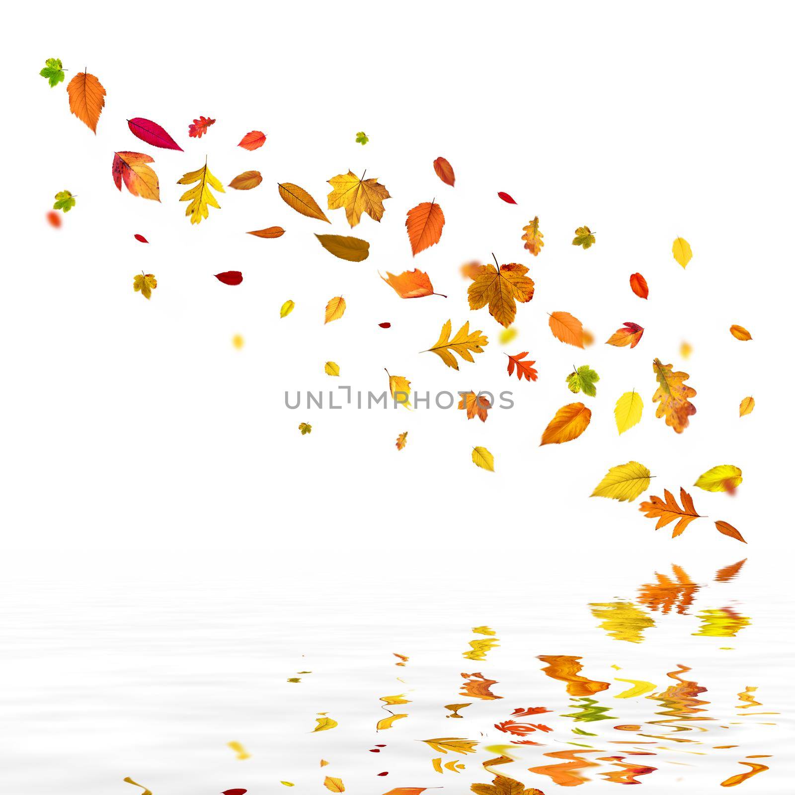 Beautiful autumn background with yellow and red leaves.