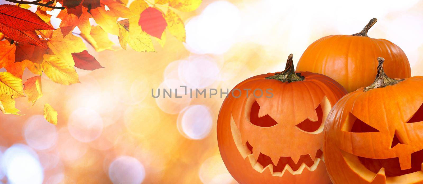 Halloween pumpkin head. Halloween decoration and background.